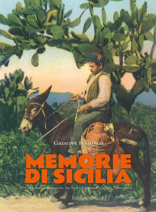 Kniha Memorie di Sicilia. Ediz. italiana, inglese e francese Giuseppe Fiamingo