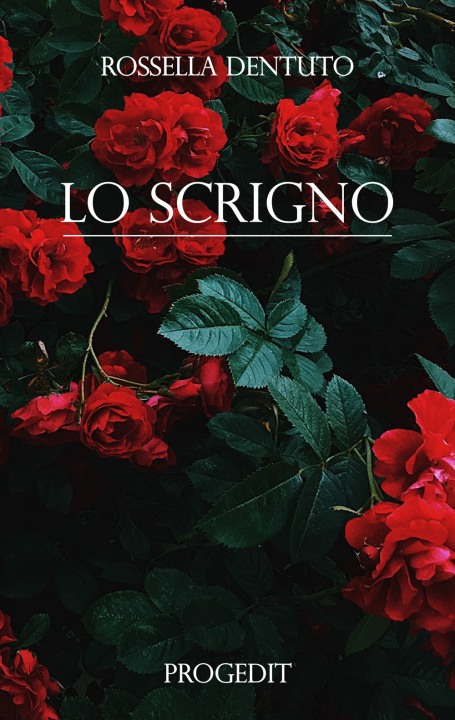 Libro scrigno Rossella Dentuto
