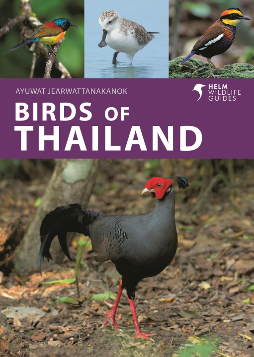 Buch Birds of Thailand Ayuwat Jearwattanakanok