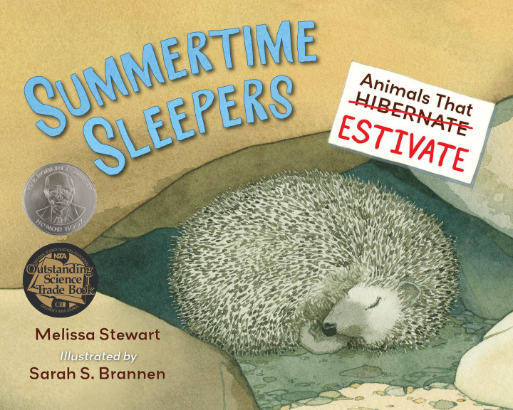 Książka Summertime Sleepers Melissa Stewart