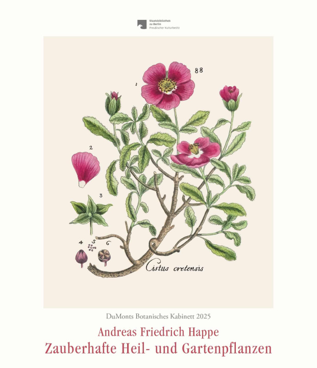 Kalendár/Diár DuMonts Botanisches Kabinett - Zauberhafte Heil- und Gartenpflanzen - Illustriert von F.A. Happe - Kunstkalender 2025 - Wandkalender im Hochformat 34, 