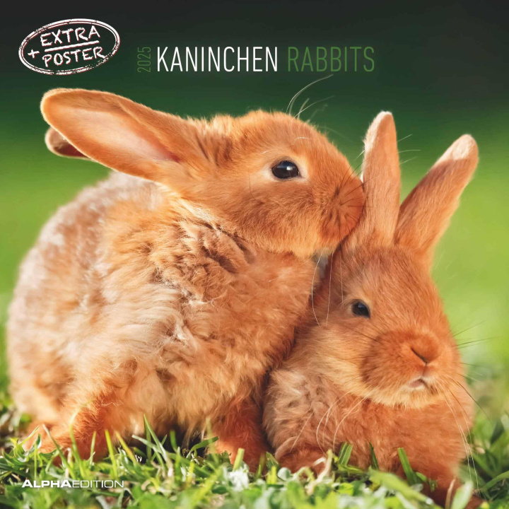 Naptár/Határidőnapló Kaninchen 2025 - Broschürenkalender 30x30 cm (30x60 geöffnet) - Kalender mit Platz für Notizen - Rabbits - Bildkalender - Wandplaner - Wandkalender 