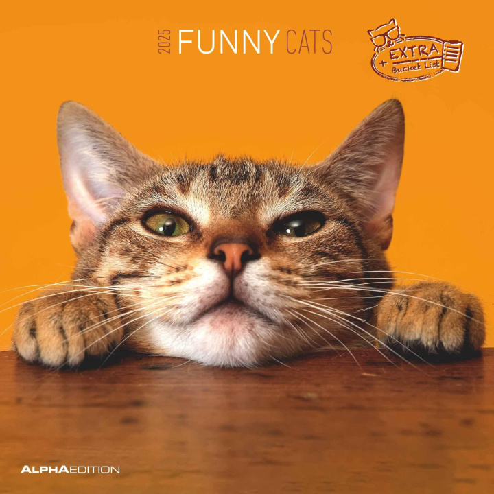 Calendar / Agendă Funny Cats 2025 - Broschürenkalender 30x30 cm (30x60 geöffnet) - Kalender mit Platz für Notizen - Katzen - Bildkalender - Wandplaner - Katzenkalender 