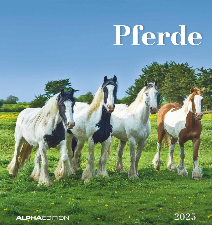 Calendar / Agendă Pferde 2025 - Postkartenkalender 16x17 cm - Horses - zum Aufstellen oder Aufhängen - Monatskalendarium - Gadget - Mitbringsel - Alpha Edition 