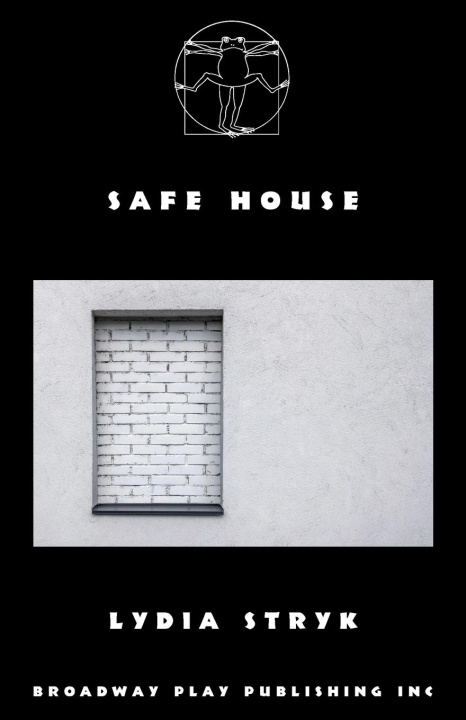 Knjiga Safe House Lydia Stryk