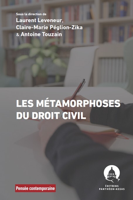Kniha Les Métamorphoses du droit civil Leveneur