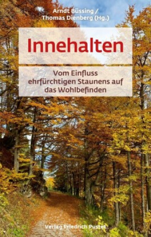 Libro Innehalten Thomas Dienberg