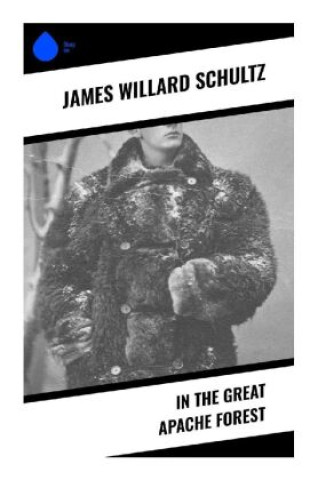 Knjiga In the Great Apache Forest James Willard Schultz