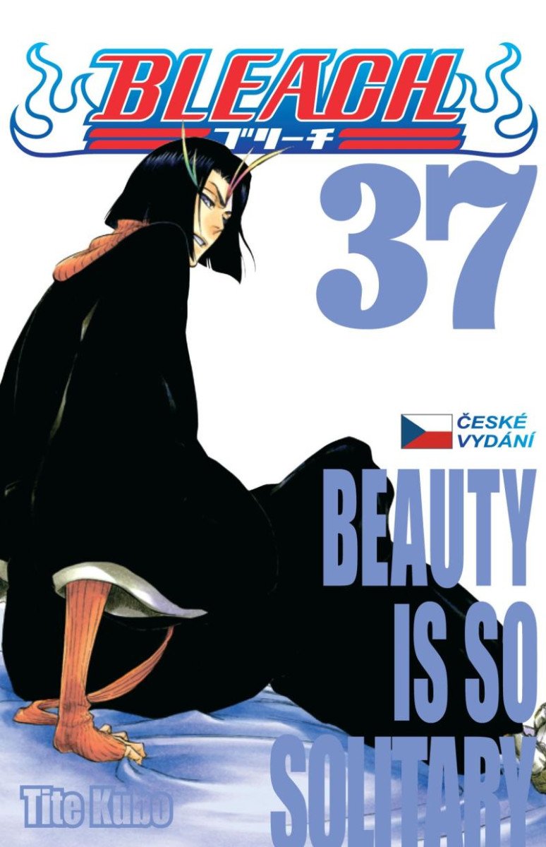 Kniha Bleach 37: Beauty Is So Solitary Tite Kubo