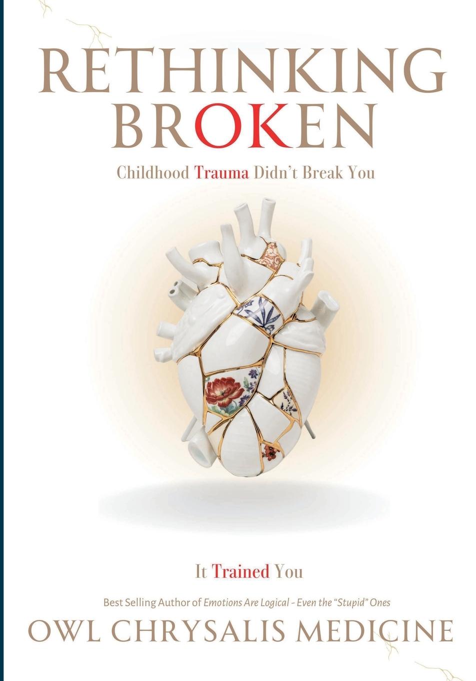 Knjiga Rethinking Broken Owl C Medicine