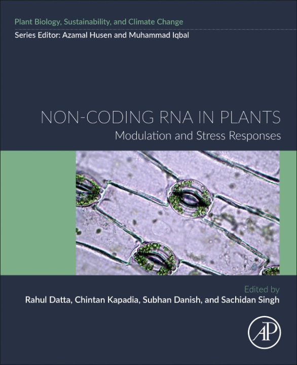 Kniha Non-coding RNA in Plants Rahul Datta