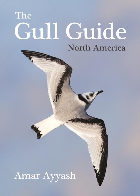 Knjiga The Gull Guide Amar Ayyash