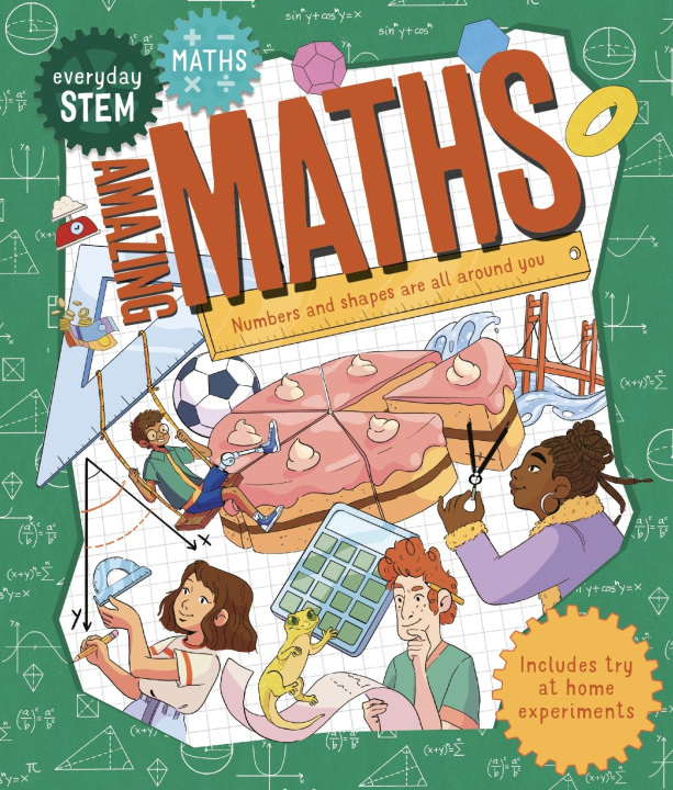 Книга Everyday Stem Math--Amazing Math Lilia Micelia