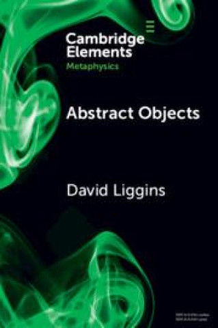 Libro Abstract Objects David Liggins