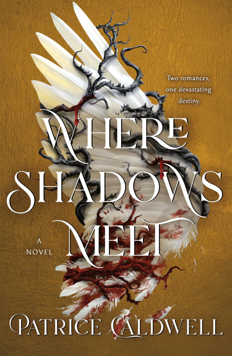 Knjiga Where Shadows Meet CALDWELL PATRICE