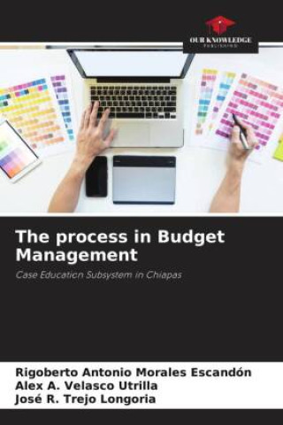 Könyv The process in Budget Management Alex A. Velasco Utrilla