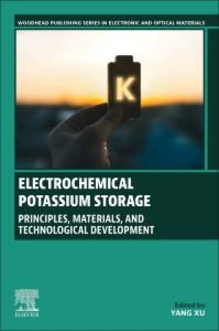 Knjiga Electrochemical Potassium Storage Yang XU