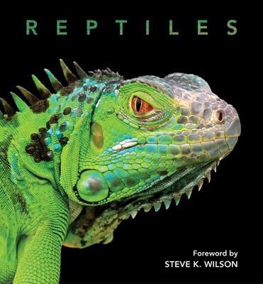 Kniha Reptiles 