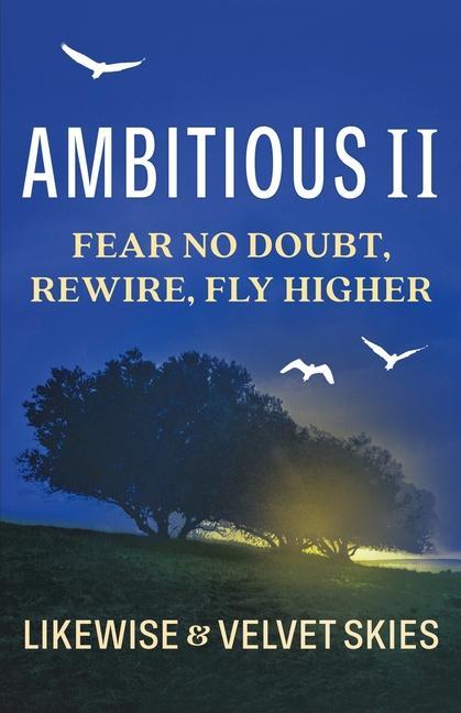 Knjiga Ambitious II 