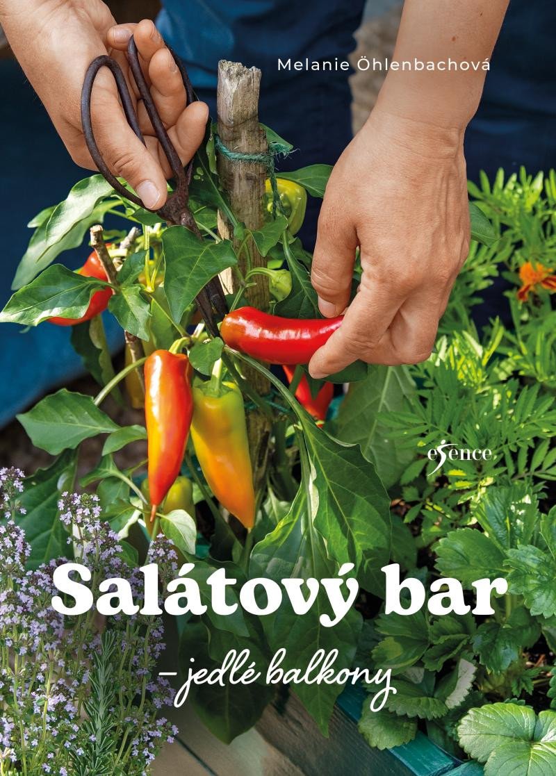 Carte Salátový bar – jedlé balkony Melanie Öhlenbach