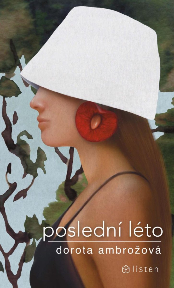 Buch Poslední léto Dorota Ambrožová