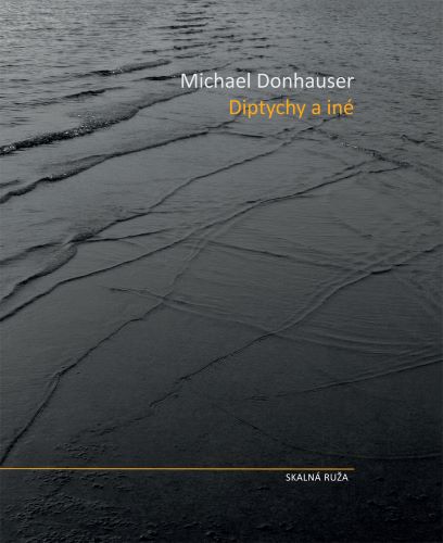 Book Diptychy a iné Michael Donhasuer