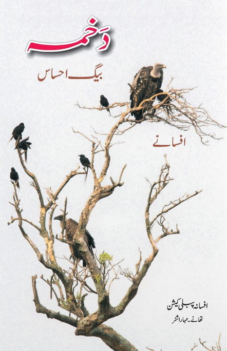 Buch Dakhma Baig Ehsaas Professor