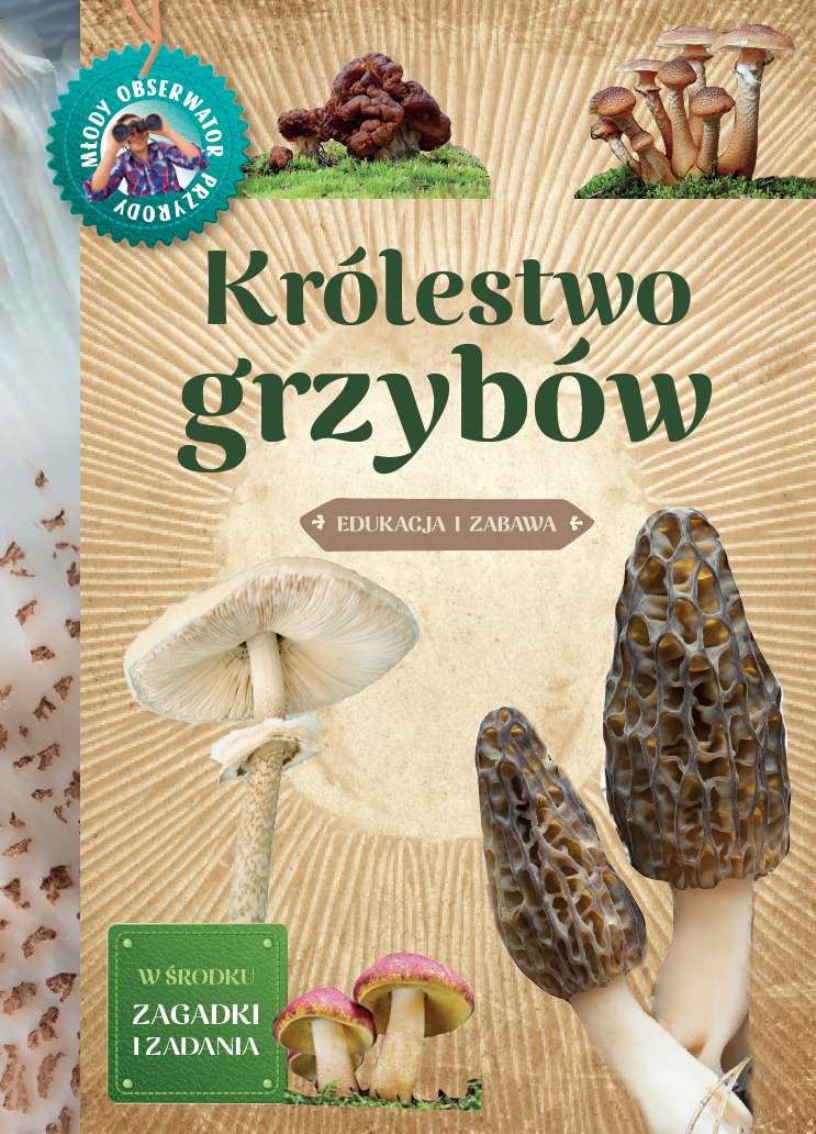 Kniha Królestwo grzybów Będkowska Hanna