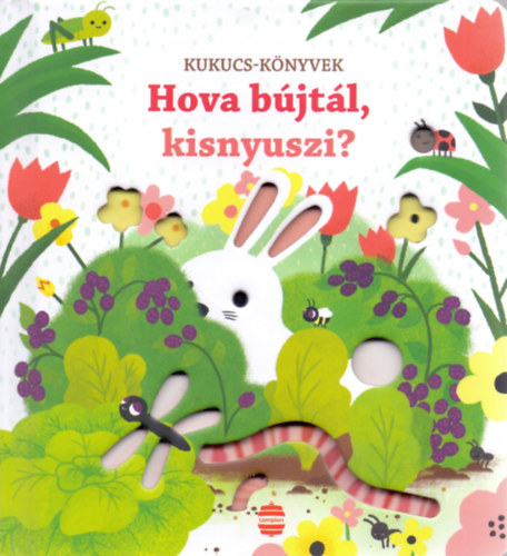 Buch Hova bújtál, kisnyuszi? Sam Taplin