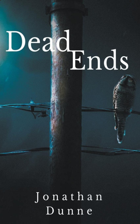 Kniha Dead Ends Jonathan Dunne