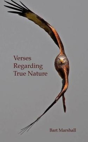 Knjiga Verses Regarding True Nature Bart Marshall