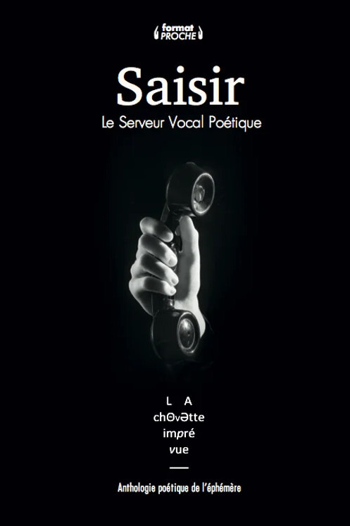 Book Saisir 