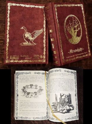 Buch Im Schatten der Hexen II Kathrin Hotowetz