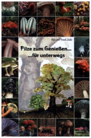 Carte Pilze zum Genießen... für unterwegs Rita Lüder