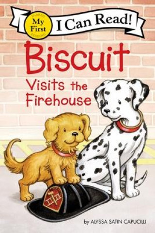 Buch BISCUIT VISITS THE FIREHOUSE CAPUCILLI ALYSSA SATIN