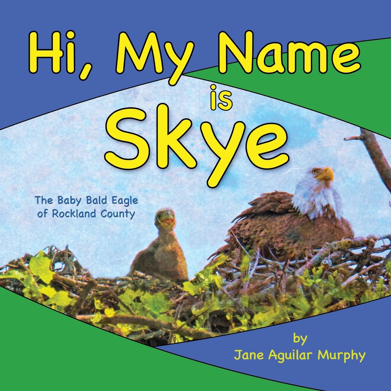 Knjiga Hi, My Name is Skye 