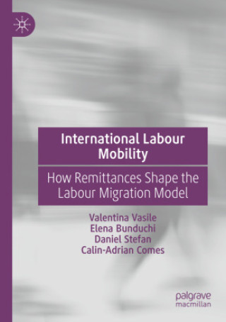 Libro International Labour Mobility Valentina Vasile