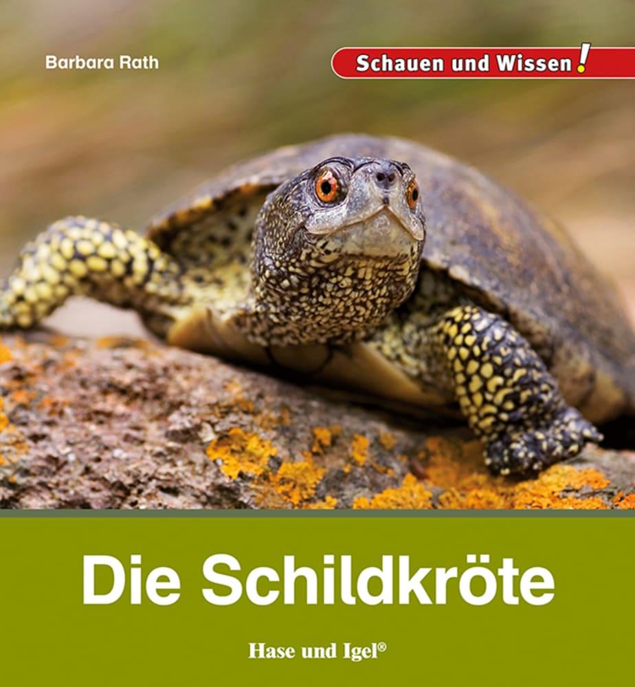 Βιβλίο Die Schildkröte Barbara Rath