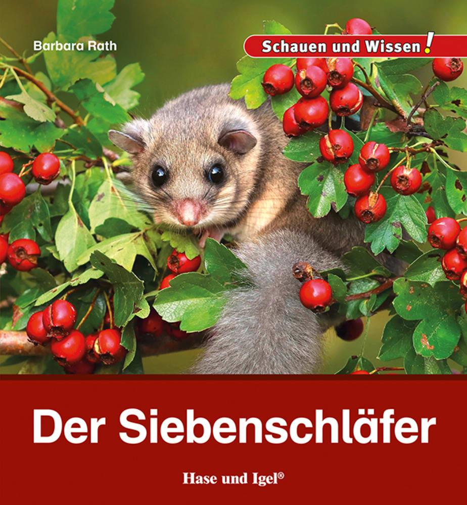 Книга Der Siebenschläfer Barbara Rath