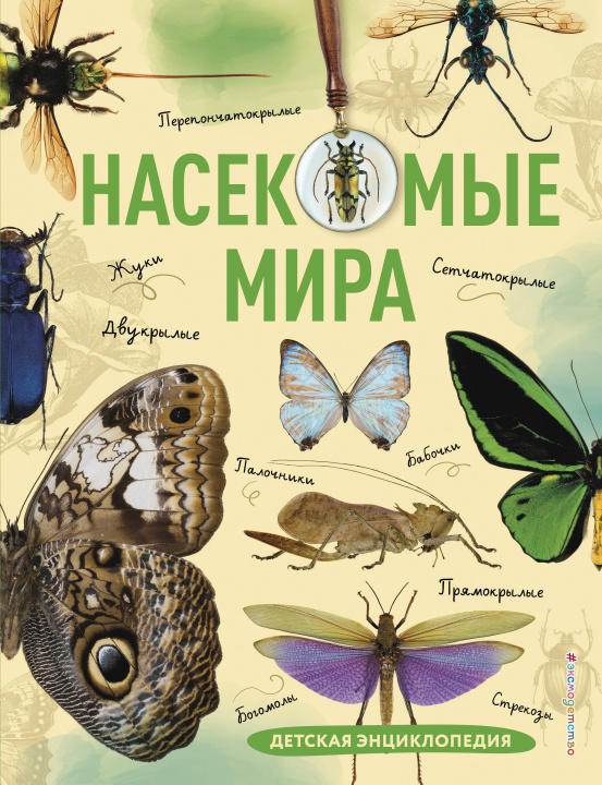 Книга Насекомые мира. Детская энциклопедия 