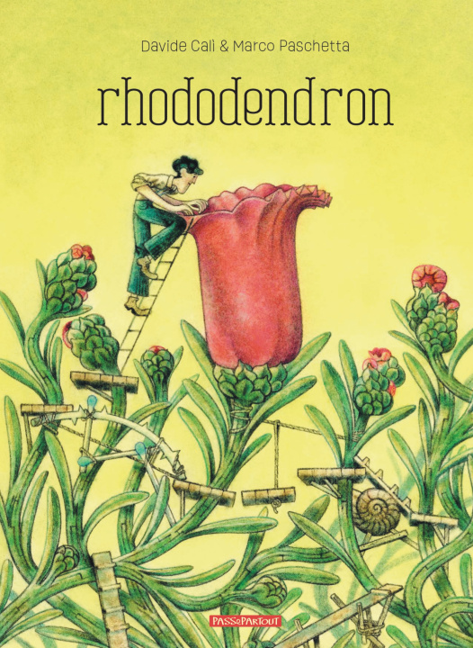 Book RHODODENDRON CALI DAVIDE