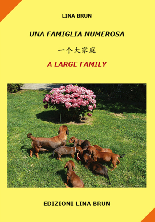 Książka famiglia numerosa. Ediz. italiana, cinese e inglese Lina Brun