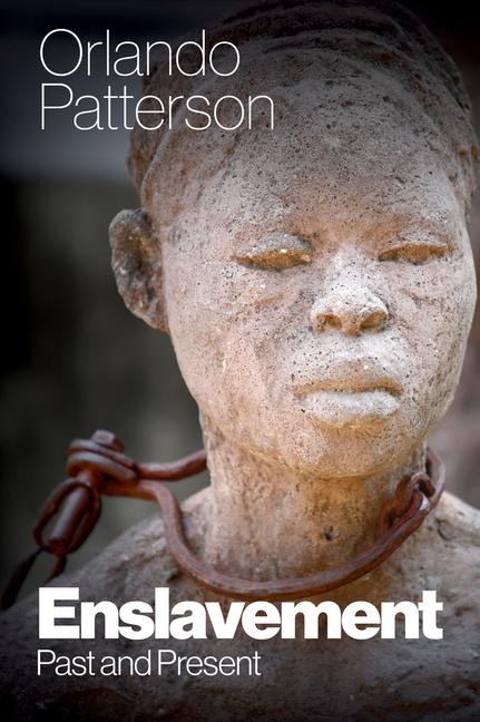Knjiga Enslavement Patterson