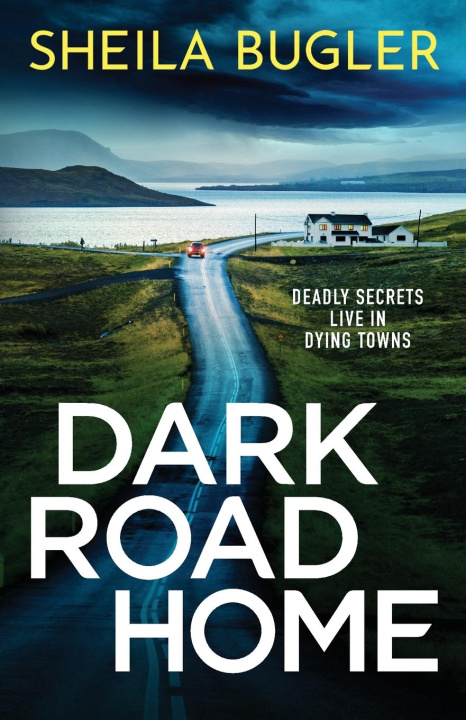 Buch Dark Road Home Sheila Bugler