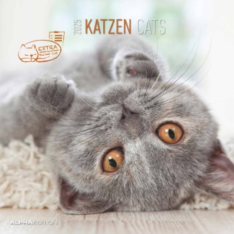 Calendar/Diary Katzen 2025 - Broschürenkalender 30x30 cm (30x60 geöffnet) - Kalender mit Platz für Notizen - Cats - Bildkalender - Wandplaner - Katzenkalender ALPHA EDITION