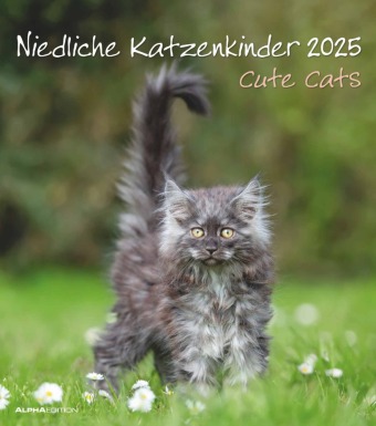 Kalendarz/Pamiętnik Niedliche Katzenkinder 2025 - Wand-Kalender - Tier-Kalender - 30x34 ALPHA EDITION