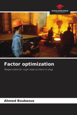 Buch Factor optimization Ahmed Boubaous