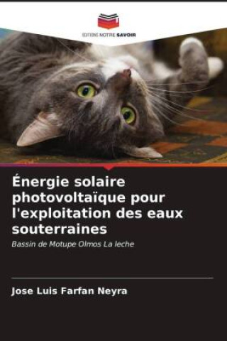 Buch Énergie solaire photovolta?que pour l'exploitation des eaux souterraines José Luis Farfán Neyra