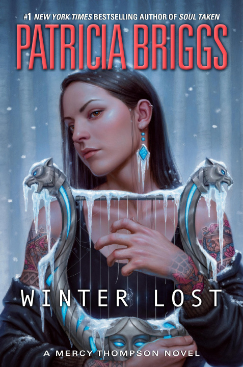 Kniha Winter Lost 