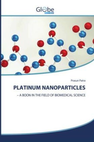 Knjiga PLATINUM NANOPARTICLES Prasun Patra
